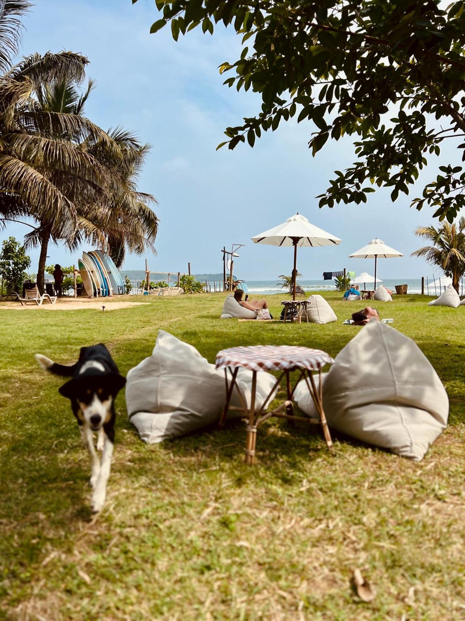 Calma - Surf, Yoga & Coffee On A Private Beach Dickwella Zewnętrze zdjęcie